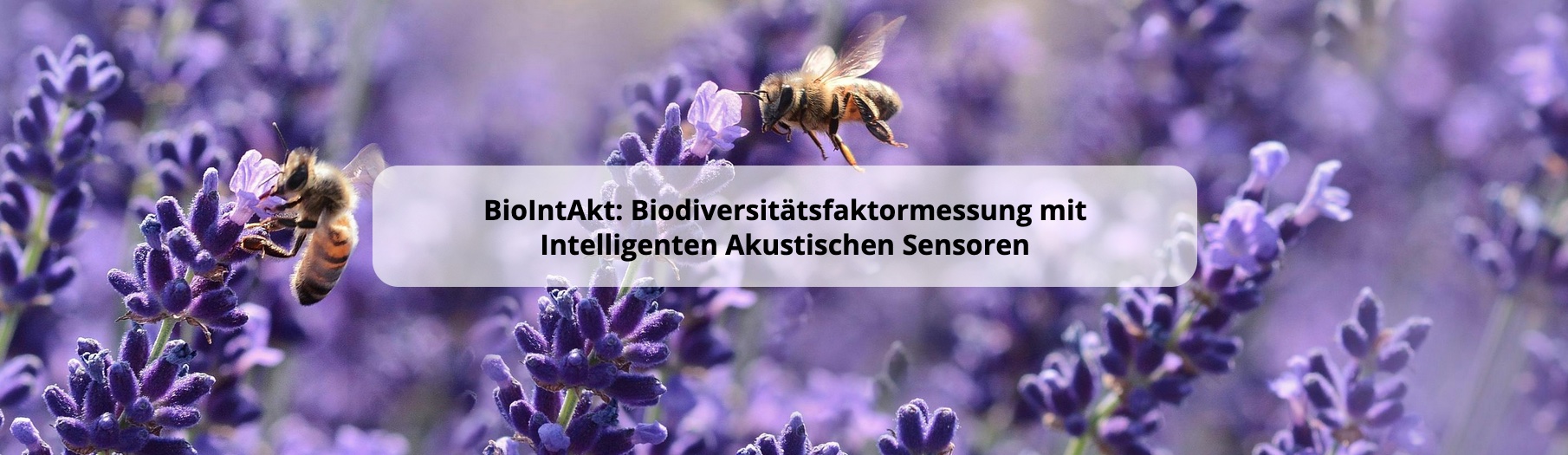 BioIntAkt Logo