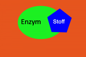 Enzym Rätsel